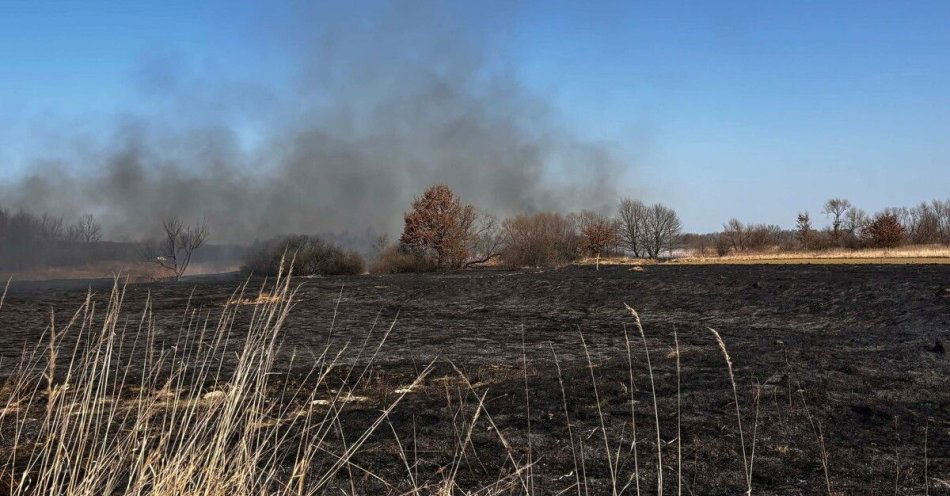 zdjęcie: Wypalanie traw alarmuje służby. Policja przypomina o karach / fot. KMP w Tarnobrzegu