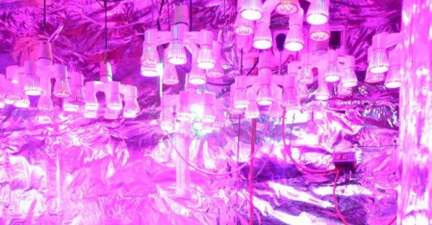 Tymczasowy areszt dla 62-latka