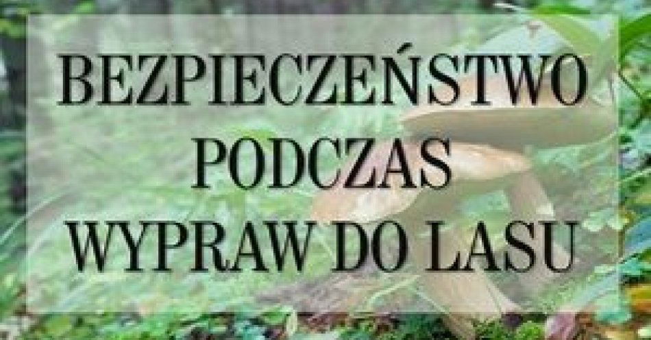 zdjęcie: Idziesz do lasu? Zabierz telefon! / fot. KPP w Złotoryi