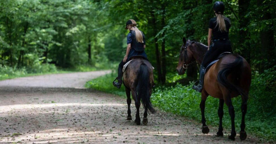 zdjęcie: 1,5 mln zł wsparcia dla turystów na lato w ramach Podlaskiego Bonu Turystycznego / fot. PAP