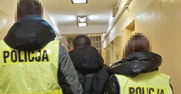 Odpowie za uśmiercenie kota ze szczególnym okrucieństwem