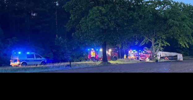 Ciężarowym Volvo uderzył w drzewo