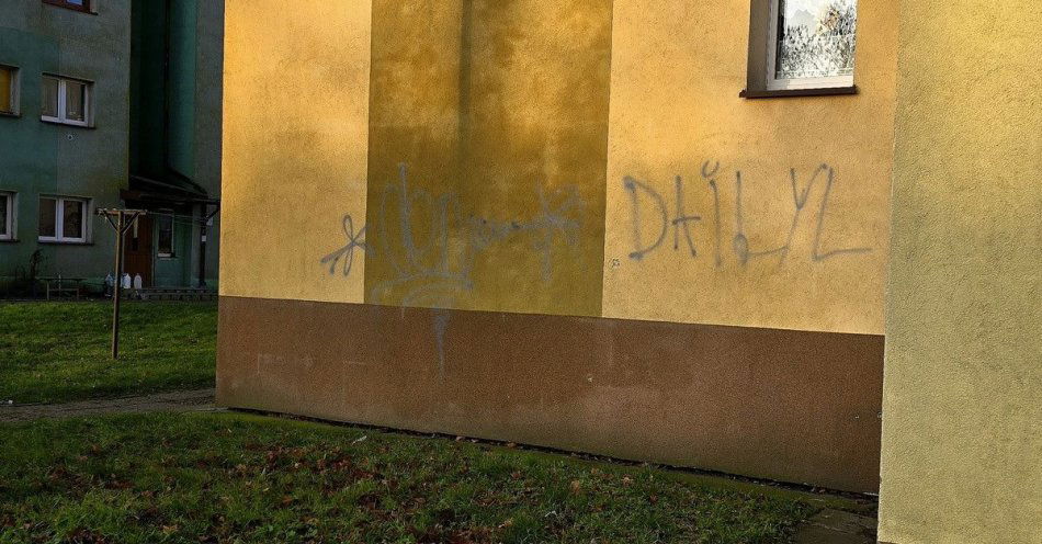 zdjęcie: Komendant po służbie zatrzymał sprawcę dewastacji bloku / fot. KPP w Kamieniu Pomorskim