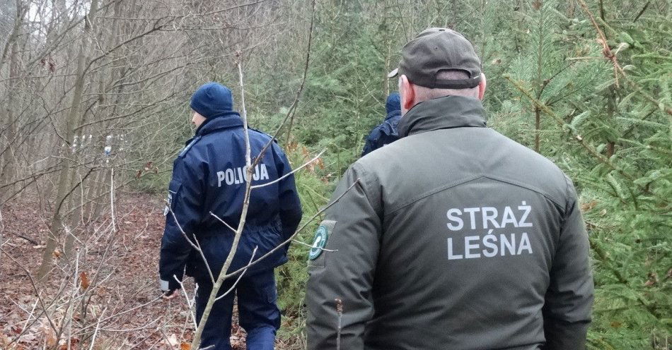 zdjęcie: Wzmożone patrole w Kazanowie i Zwoleniu chronią choinki / fot. KPP w Zwoleniu