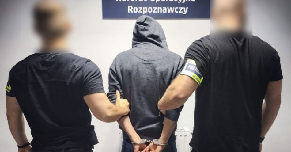 zdjęcie: Wilda - Trzy miesiące aresztu dla sprawcy pięciu kradzieży z włamaniem / fot. KMP w Poznaniu