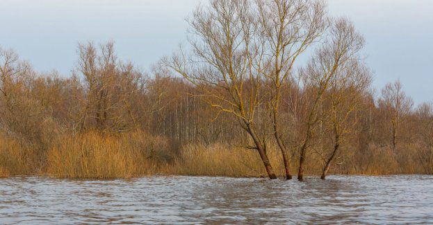 Po opadach deszczu podnosi się stan wody w rzece Kumieli; służby w gotowości