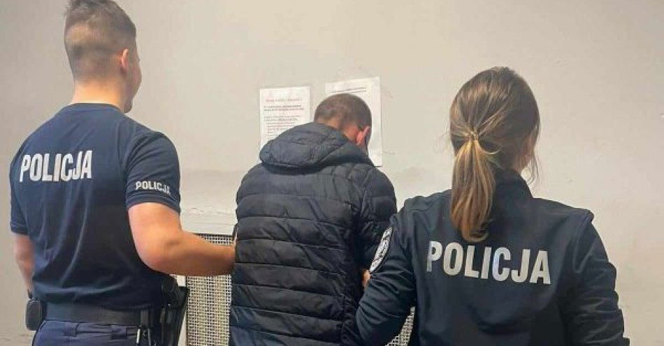 zdjęcie: Spowodował kolizję, a do tego posiadał przy sobie środki psychotropowe / fot. KPP w Trzebnicy