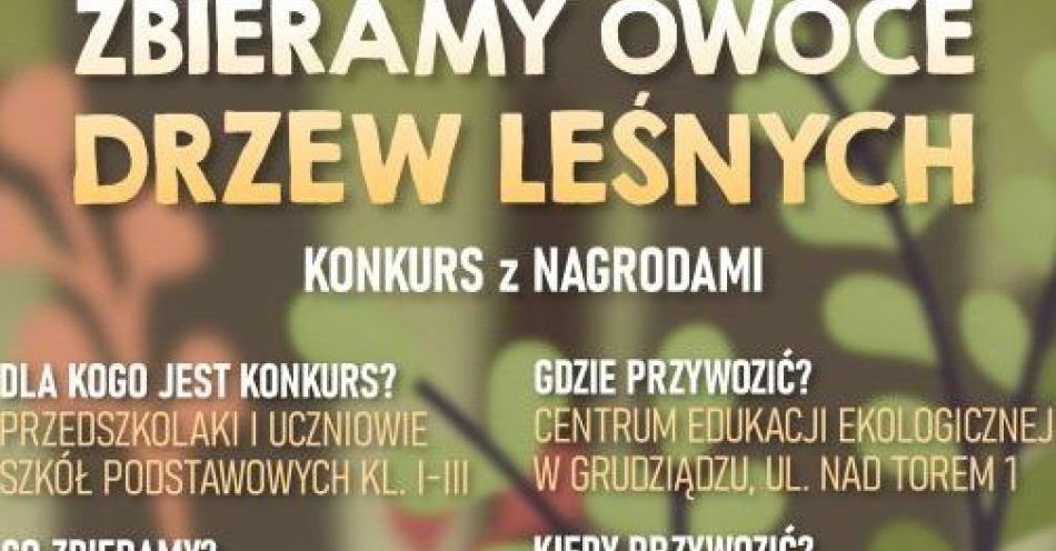 zdjęcie: Konkurs Zbieramy owoce drzew leśnych / fot. UM Grudziądz