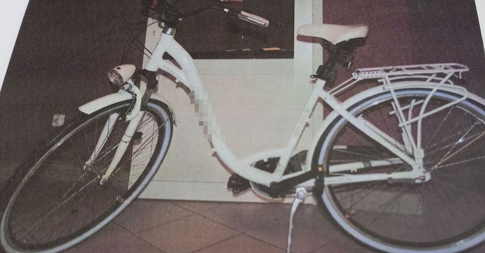 zdjęcie: Pijany mężczyzna ukradł rower wart 2000 zł i wrócił nim do domu / fot. KPP Janów Lubelski