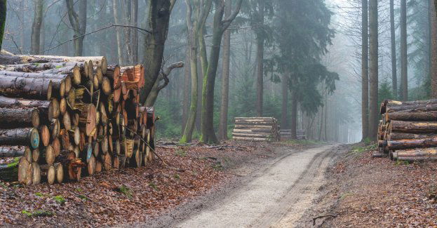 Darowizny na kampanię Suwerennej Polski