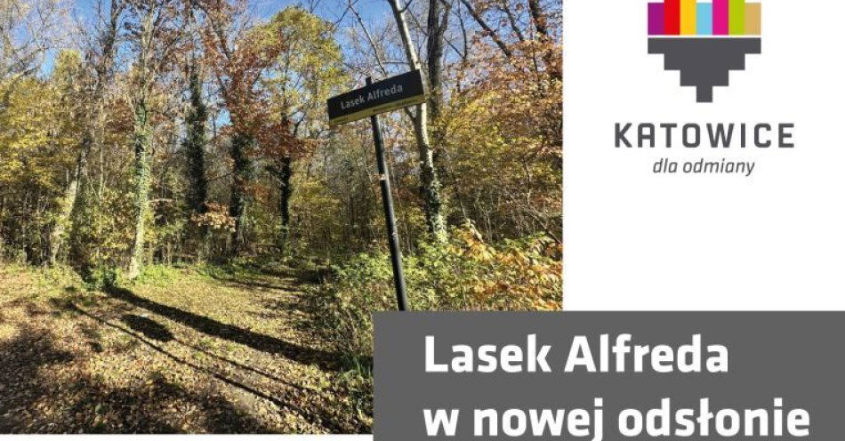 zdjęcie: Spotkanie konsultacyjne w sprawie Lasku Alfreda / fot. nadesłane