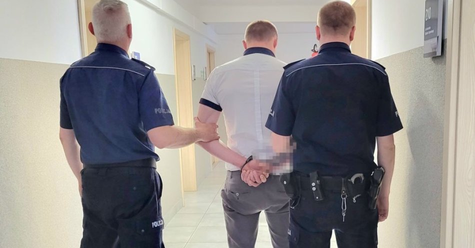 zdjęcie: Zatrzymany sprawca kradzieży linii telekomunikacyjnych i energetycznych / fot. KPP w Golubiu-Dobrzyniu