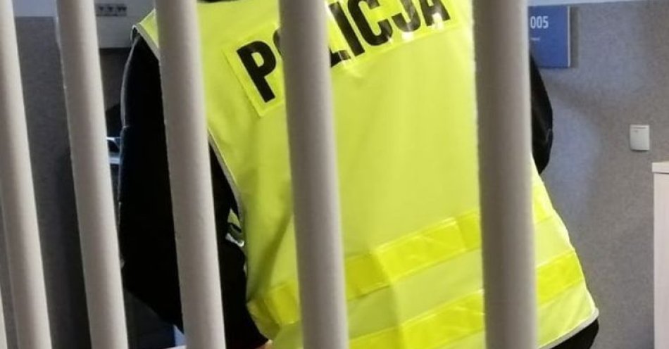 zdjęcie: Zatrzymany po dźgnięciu nożem w Tuszynie / fot. KPP łódzkiego wschodniego