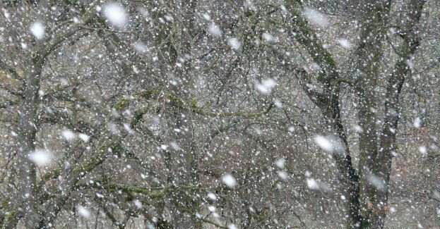 IMGW ostrzega przed oblodzeniem po opadach deszczu ze śniegiem i mokrego śniegu