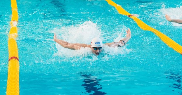 Pływacka elita na starcie AMP w Poznaniu