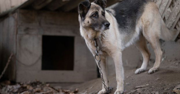 Były senator PiS będzie na wolności odbywał karę z opaską elektroniczną