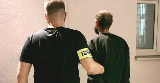 Zatrzymany tulipan - odzyskano większość łupu