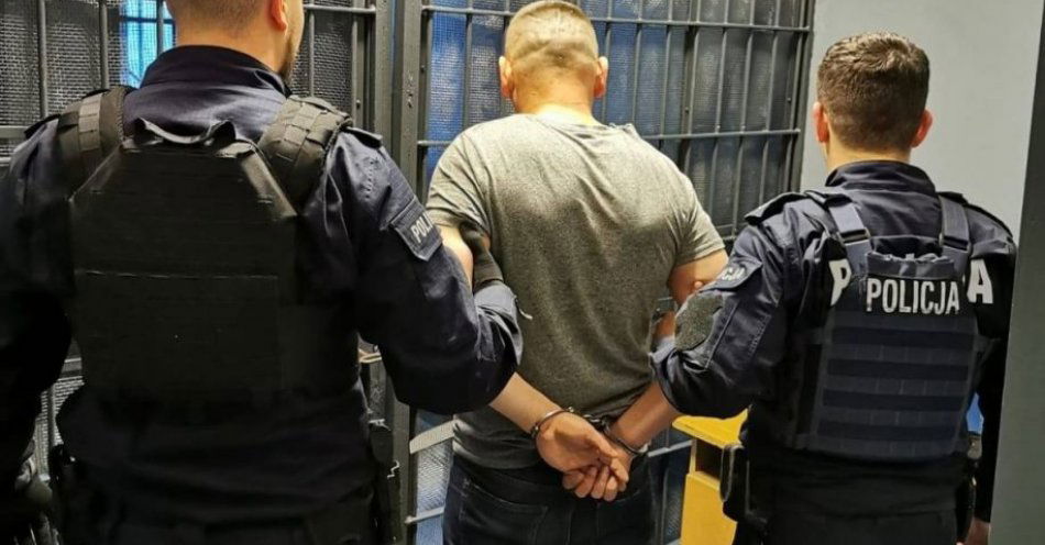 zdjęcie: Wandal z zarzutami / fot. KPP w Bełchatowie