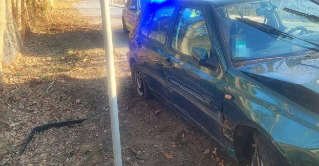 Pijany nastolatek tłumaczył się sarnami po wypadku