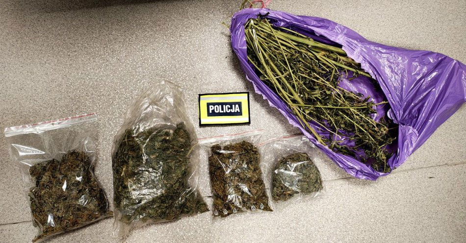 zdjęcie: Policja zabezpieczyła ponad 770 g narkotyków u poszukiwanego / fot. KMP w Piotrkowie Trybunalskim