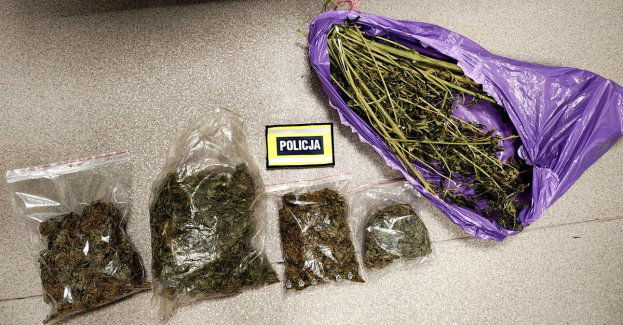 Policja zabezpieczyła ponad 770 g narkotyków u poszukiwanego