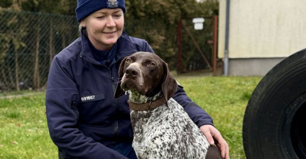 Wado dołącza do policji jako specjalista od materiałów wybuchowych