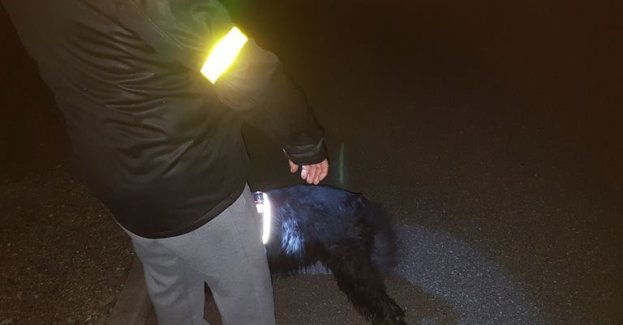 Każdy pieszy i rowerzysta powinien również pamiętać o swoim bezpieczeństwie i zadbać o to, aby być widocznym