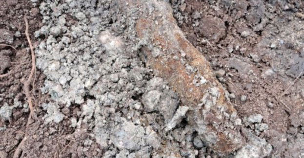 16 niewybuchów z okresu II wojny światowej znalezionych na terenie Giżycka podczas prac ziemnych.