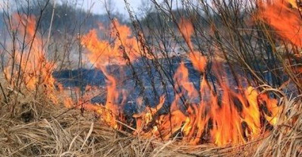 Zanim podpalisz ściernisko- pomyśl. apelujemy o rozsądek