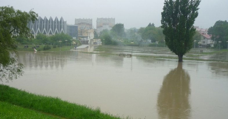 zdjęcie: Nowa podłoga taneczna na rzeszowskich Bulwarach / fot. Autorstwa X-domin - Praca własna, Domena publiczna, https://commons.wikimedia.org/w/index.php?curid=10387649