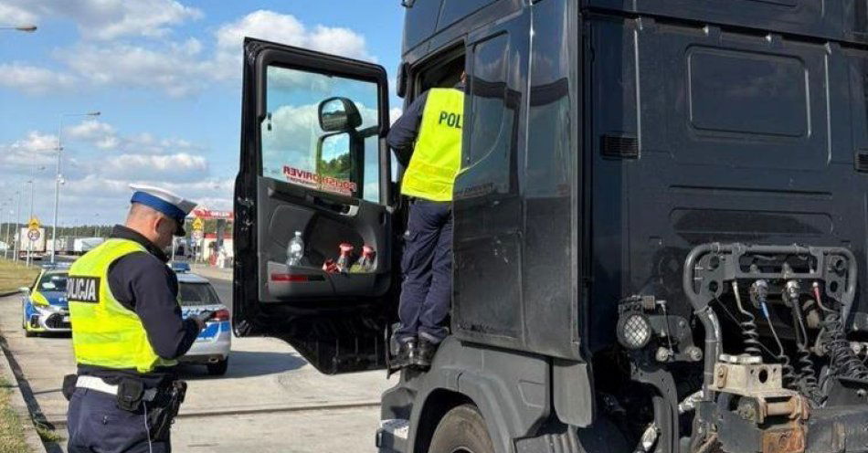 zdjęcie: Wyścig słoni na A1 skończył się mandatami / fot. KPP Aleksandrów