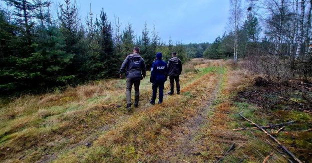 Policja i Straż Leśna chronią choinki przed kradzieżą