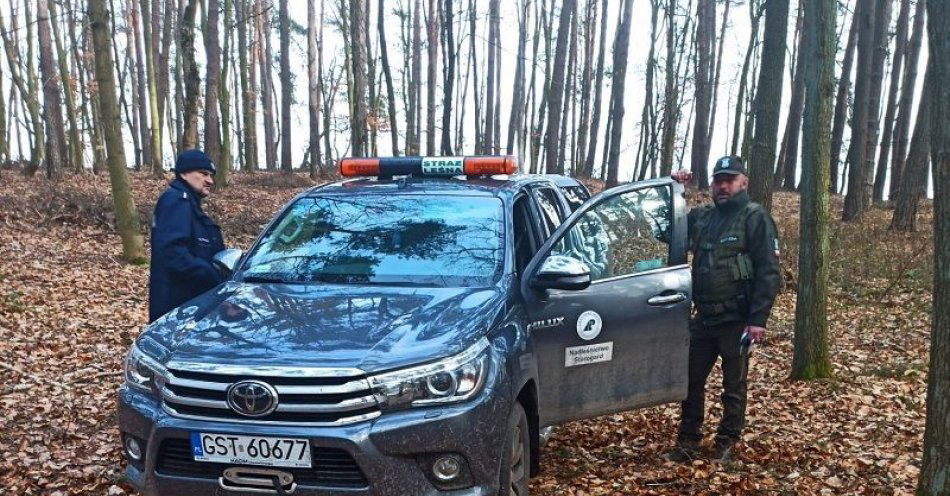 zdjęcie: Trzech mężczyzn odpowie za nielegalny wyręb i kradzież drewna z lasu / fot. KPP w Tczewie