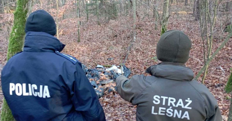 zdjęcie: Policja i Straż Leśna chronią lasy w akcji Choinka 2025 / fot. KPP w Goleniowie