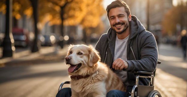 Proszę wziąć psa na ręce - osoby z psami asystującymi nie są wpuszczane do sklepów i taksówek