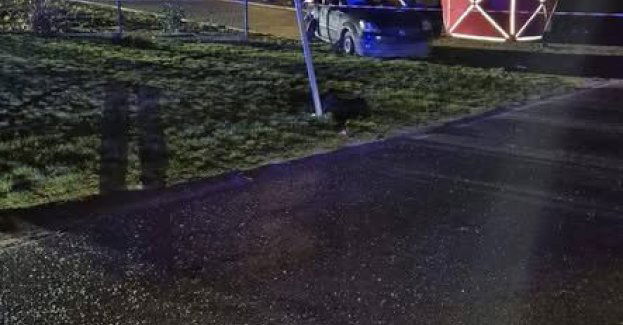 Seria wypadków w powiecie płockim. Policja apeluje o ostrożność