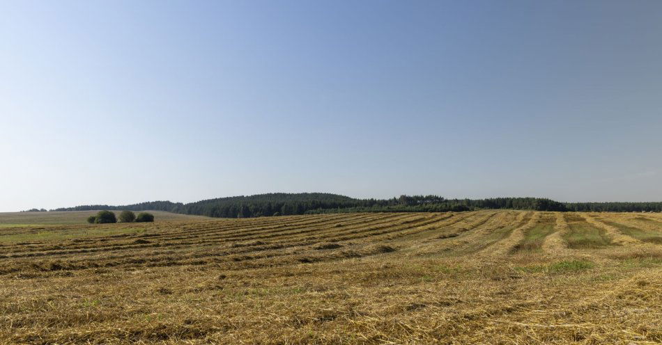 zdjęcie: Śmiertelny wypadek podczas pracy na polu koło Szprotawy / v11629846