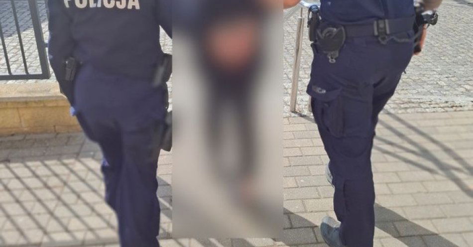 zdjęcie: Pruszcz Gdański policja zatrzymała sprawcę kradzieży rozbójniczej / fot. KPP w Pruszczu Gdańskim