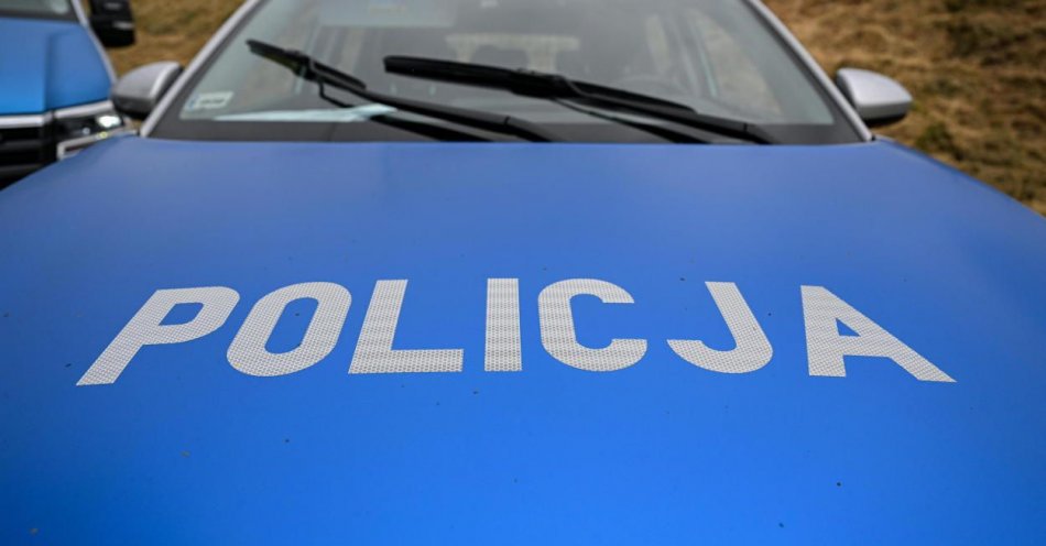 zdjęcie: Policja zatrzymała podejrzanego o zaatakowanie 17-latka w Al. Jerozolimskich / fot. PAP