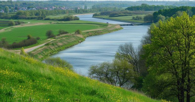 GIOŚ udostępnił interaktywną mapę wyników badań Odry