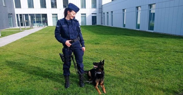 Policjantka wracając ze szkolenia z psem służbowym udzieliła pomocy potrzebującemu