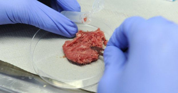 Mięso z laboratorium może być 25 razy gorsze dla klimatu niż zwykła wołowina