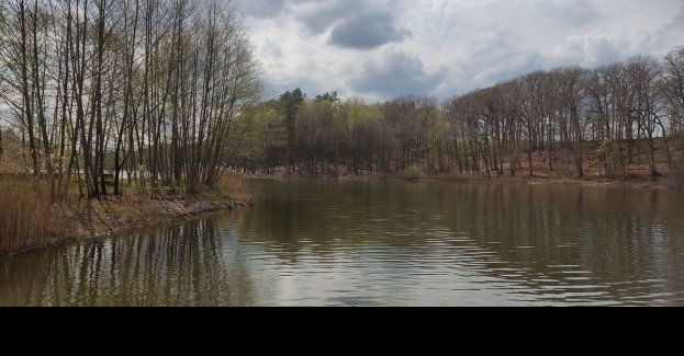 Udana akcja poszukiwawcza zaginionego starszego mężczyzny
