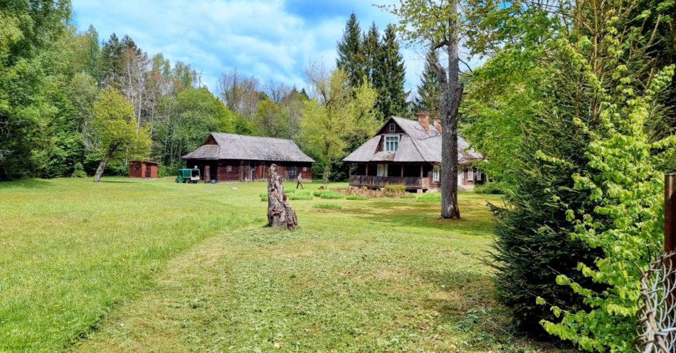zdjęcie: Majówka w Puszczy Białowieskiej / Fot. Rami