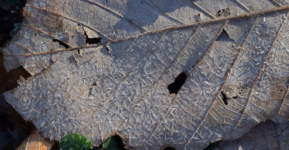 zdjęcie: Pogoda Słubice / pixabay/2101114