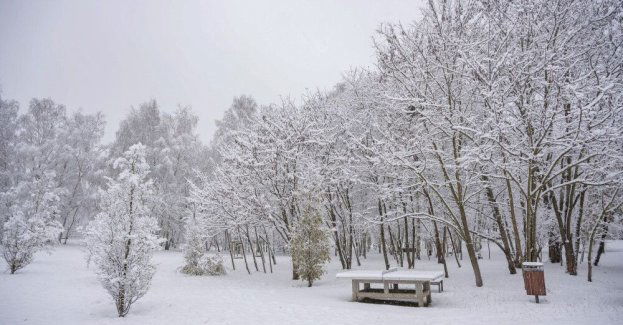 Rzeczniczka IMGW: Boże Narodzenie mroźne, ale z wyczekiwanym śniegiem