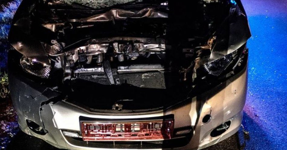 zdjęcie: Żubry przyczyną kolejnych kolizji w powiecie hajnowskim / fot. KPP Hajnówka