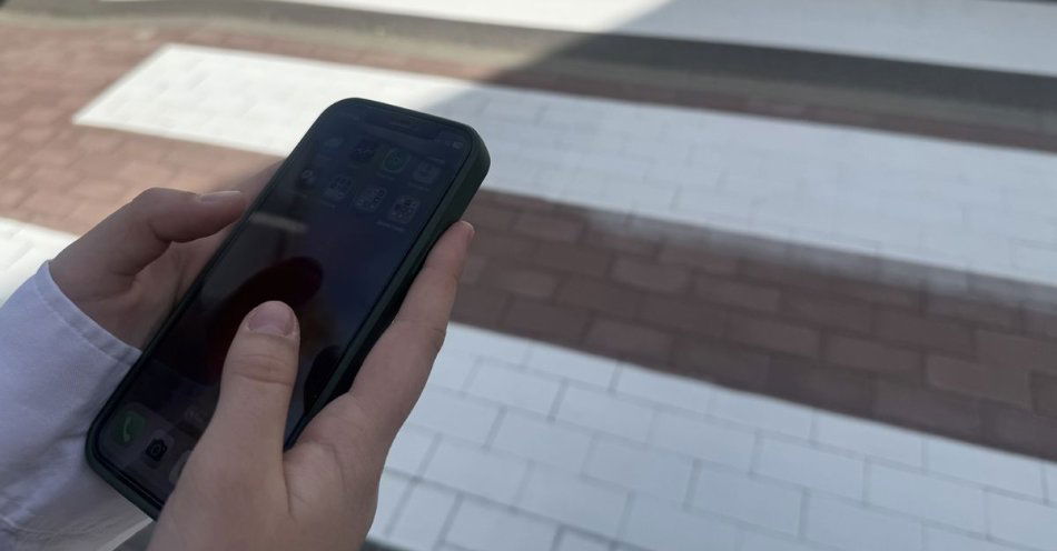 zdjęcie: Telefon komórkowy i pasy - to nie idzie w parze z bezpieczeństwem / fot. KPP Sulęcin
