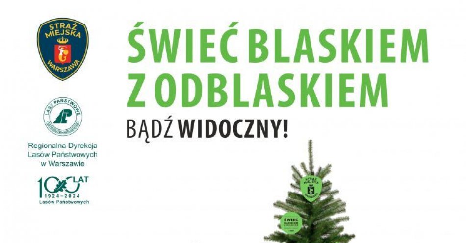 zdjęcie: Świeć przykładem – zdejmij odblask z choinki / fot. nadesłane
