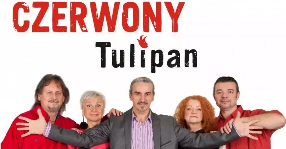 zdjęcie: Czerwony Tulipan Nasz Miszmasz Sowa Olsztyn / kupbilecik24.pl / Czerwony Tulipan